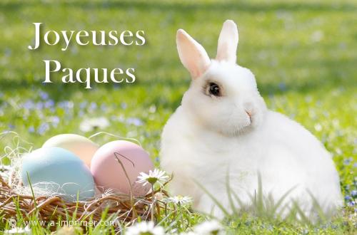 Un lapin blanc et des oeufs pour souhaiter de joyeuses paques