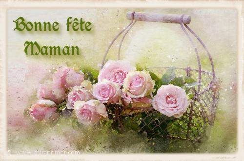 Des roses pour souhaiter une bonne fte  sa maman.