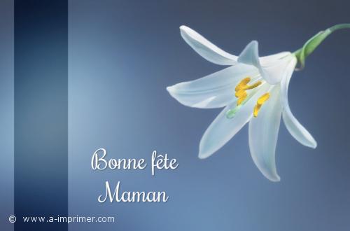 Bonne fête Maman Une jolie fleur pour souhaiter une bonne fête à sa maman.