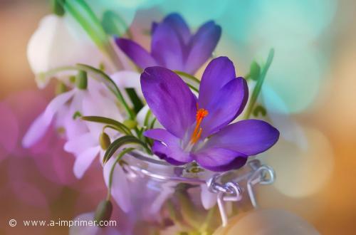 Des jolies fleurs romantiques