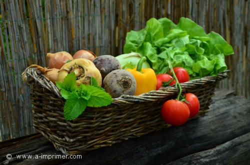 Carte postale d'un panier de lgumes.