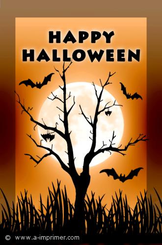 Chauves souris Une carte postale pour Halloween.