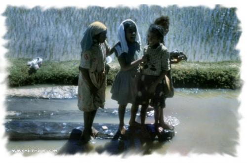 Carte postale d'enfants dans l'eau  Madagascar.