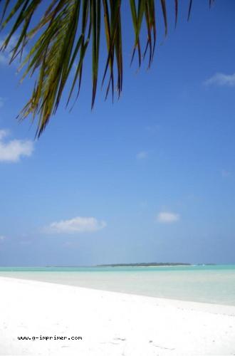 Carte postale d'une plage de sable blanc aux Maldives.