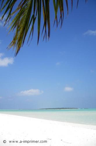 Carte postale d'une plage de sable blanc aux Maldives.