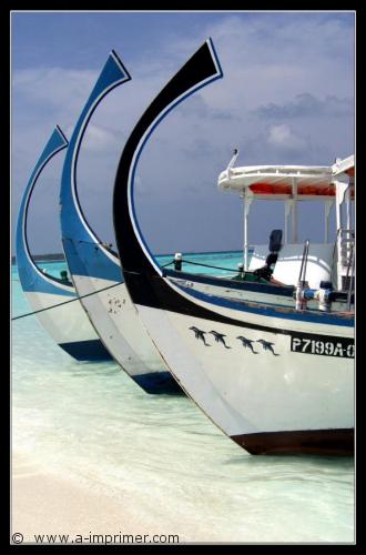 Bateaux aux Maldives Carte postale de 3 bateaux blancs aux Maldives