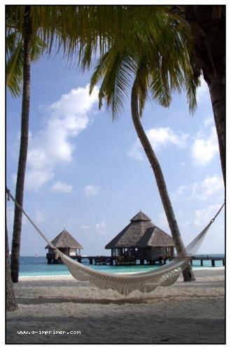 Carte postale d'un hamac sur une plage des Maldives.