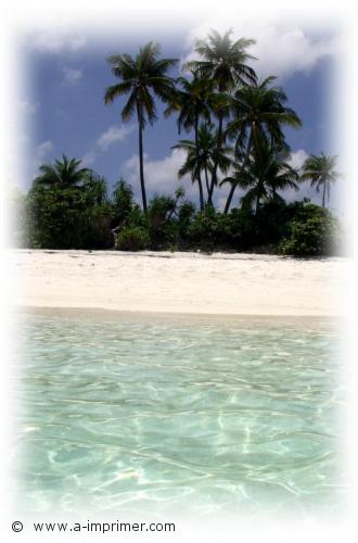 La mer Carte postale d'une plage des Maldives.
