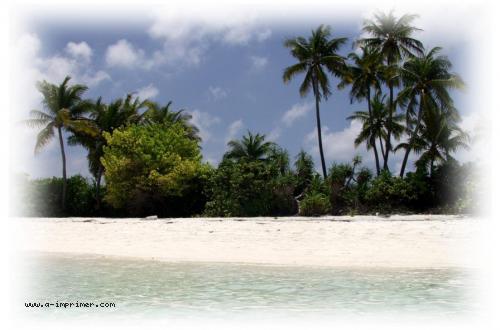 Carte postale d'une plage des Maldives.