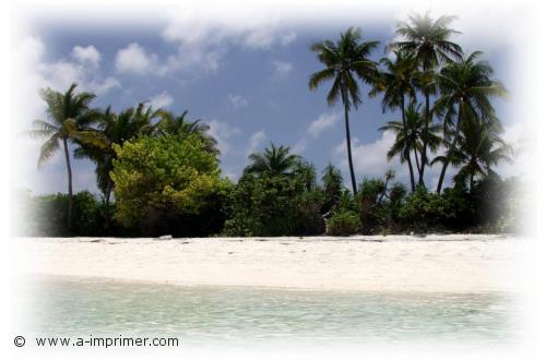 Carte postale d'une plage des Maldives.