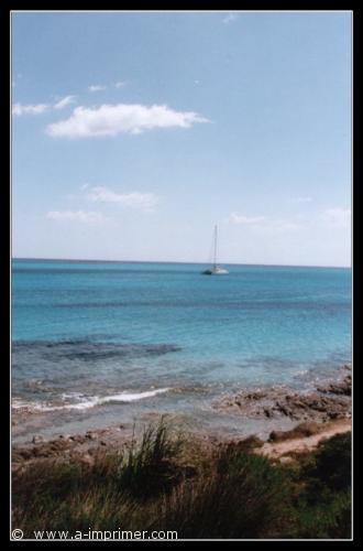 La Pelosa Carte postale de la pelosa en Italie.