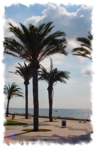 Carte postale de Tunisie. Promenade de Hammamet.