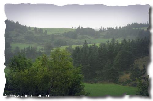 Paysage Carte postale d'une photo de forêt