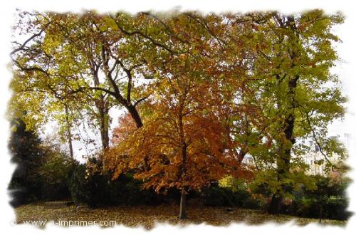 Carte postale du parc Monceau  Paris.