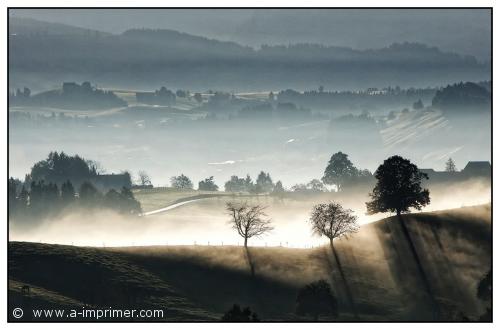 Un joli paysage de suisse