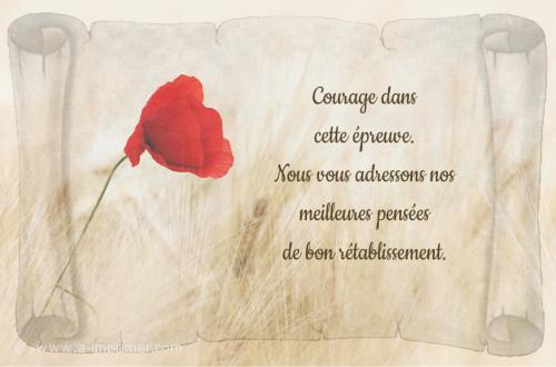 La fleur Carte postale pour souhaiter un bon rétablissement.