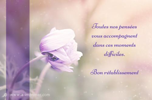 Fleurs Carte postale pour souhaiter un bon rétablissement.